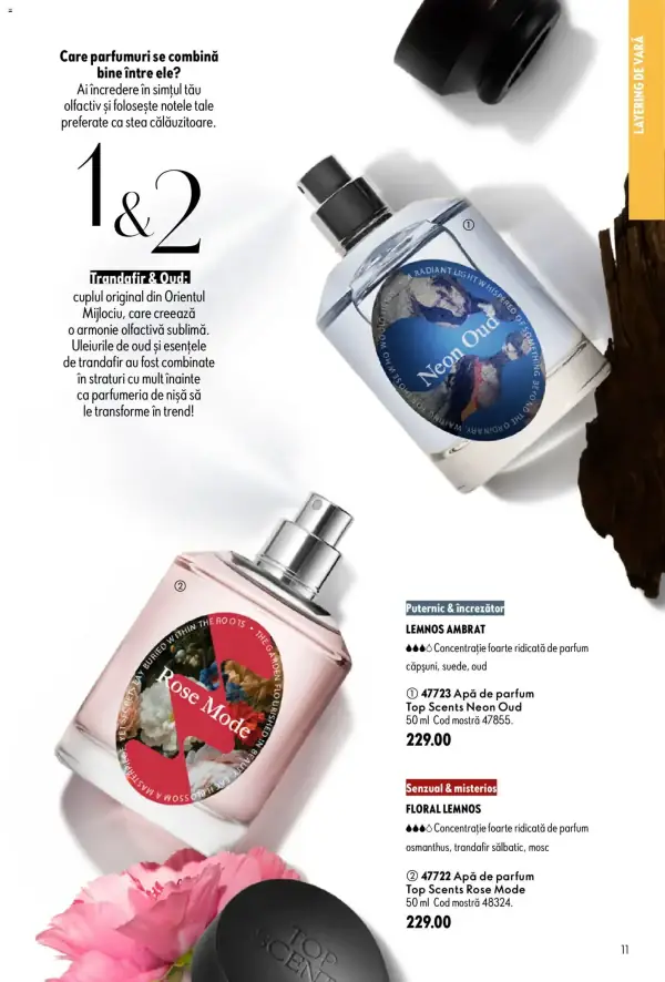 Pagina 11
