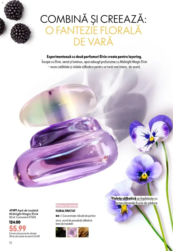 Pagina 12