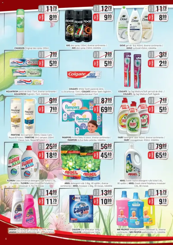 Pagina 6