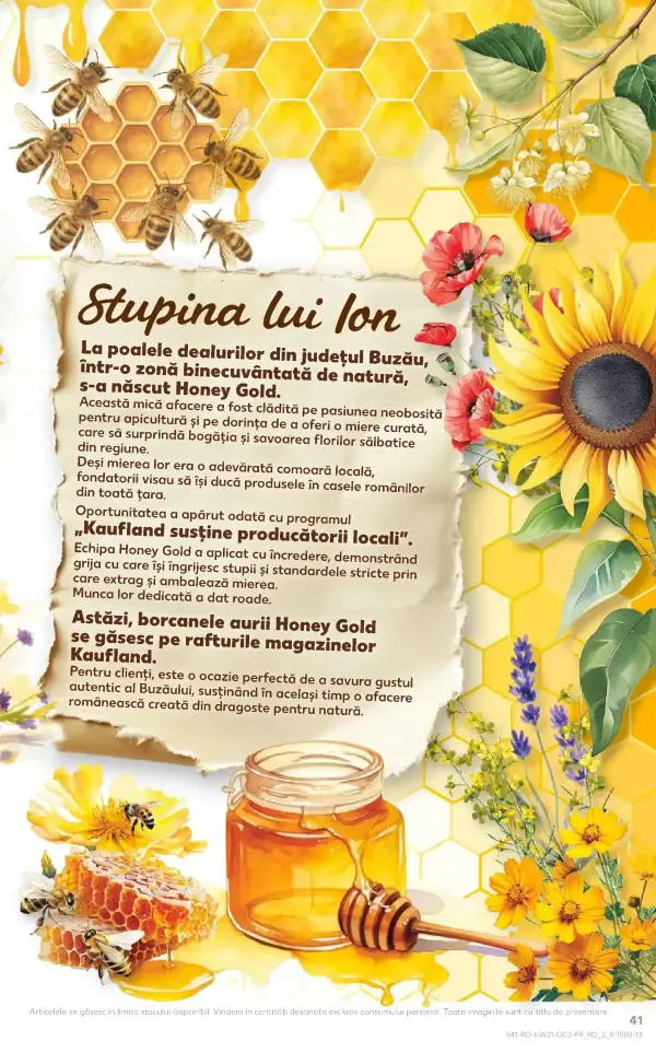 Pagina 41