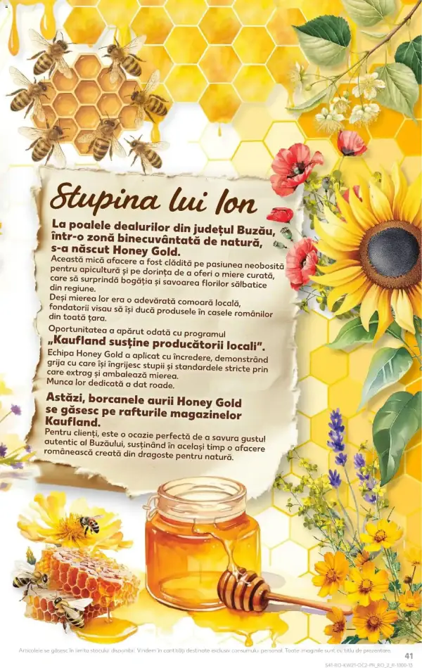 Pagina 41