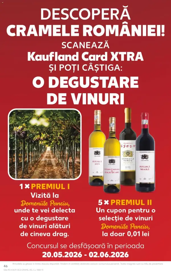 Pagina 46