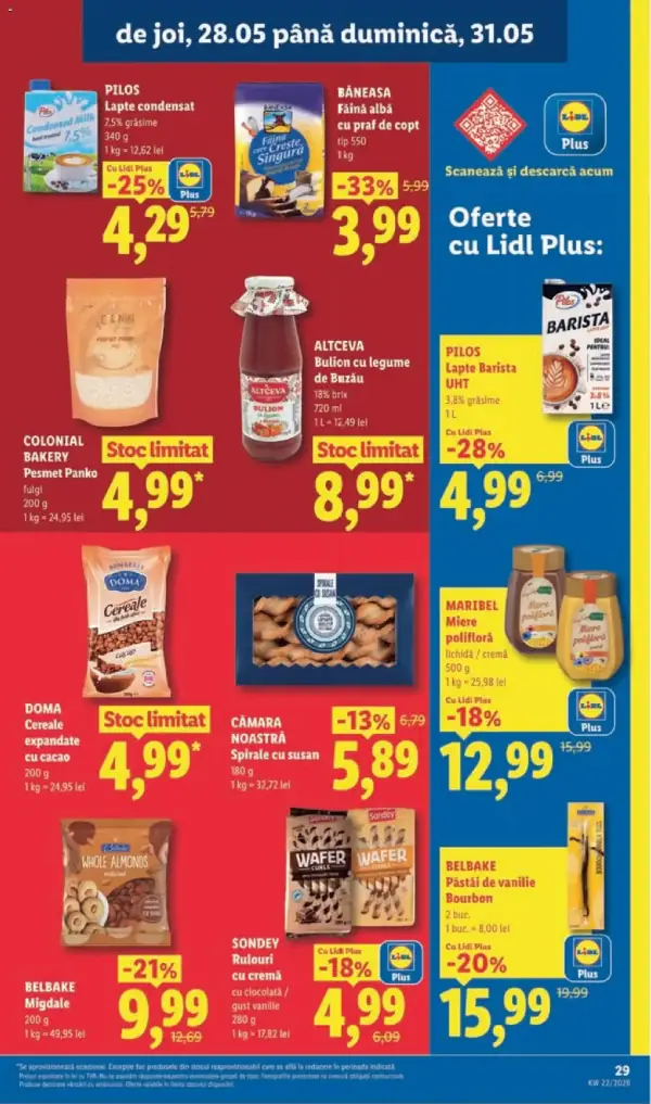 Pagina 29