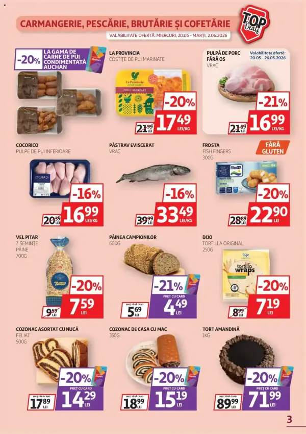 Pagina 3