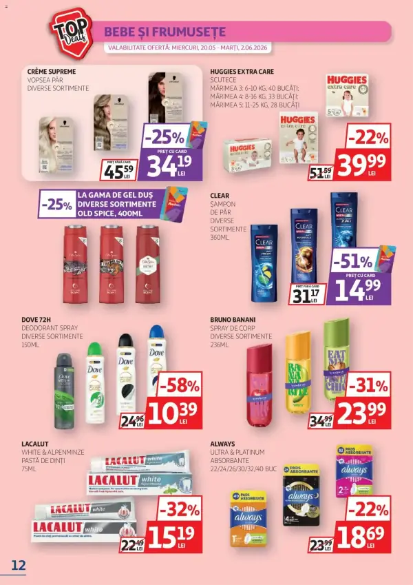Pagina 12