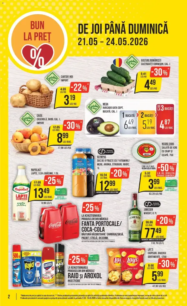 Pagina 2
