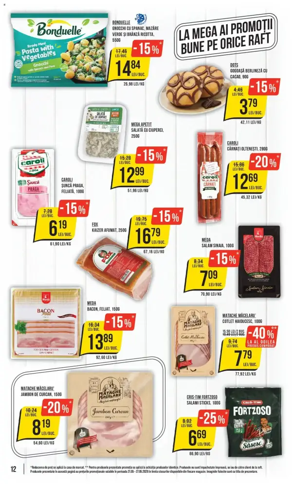 Pagina 12