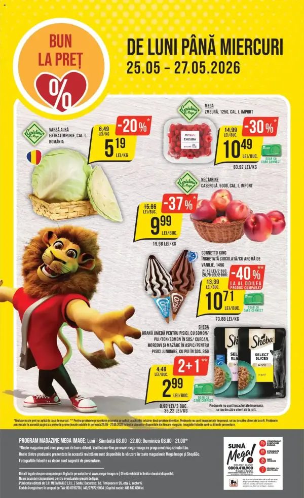 Pagina 24
