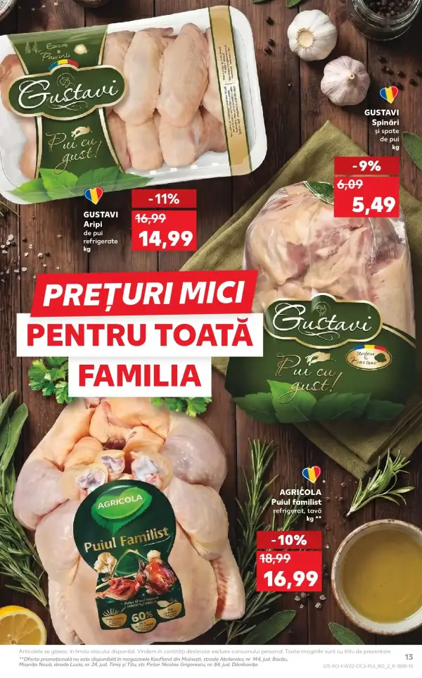 Pagina 13