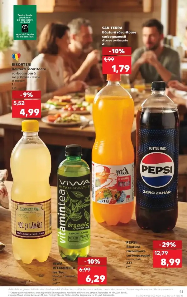 Pagina 41