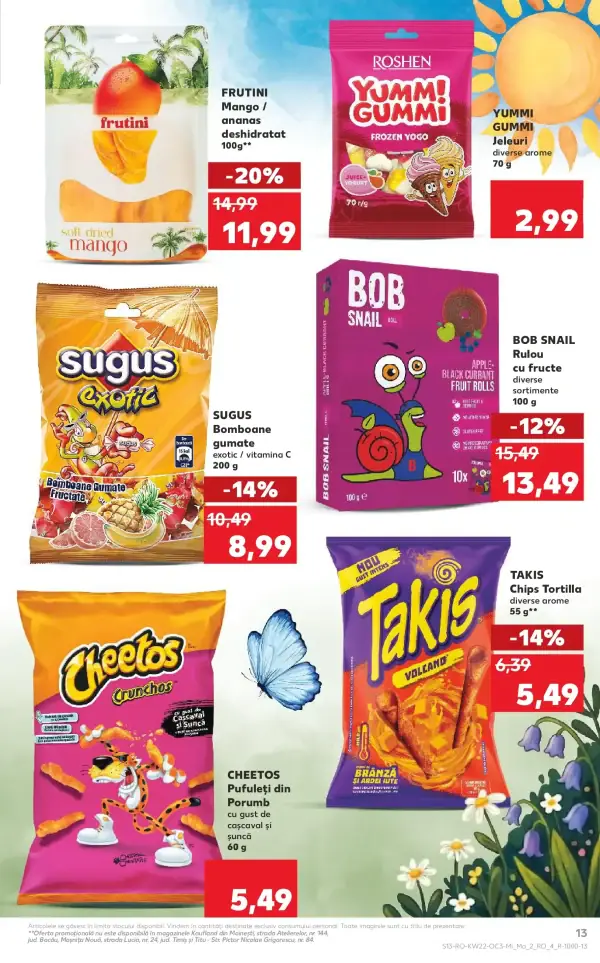Pagina 13
