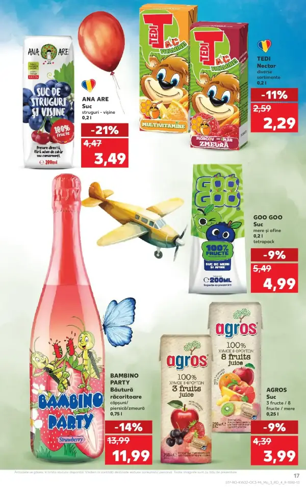 Pagina 17
