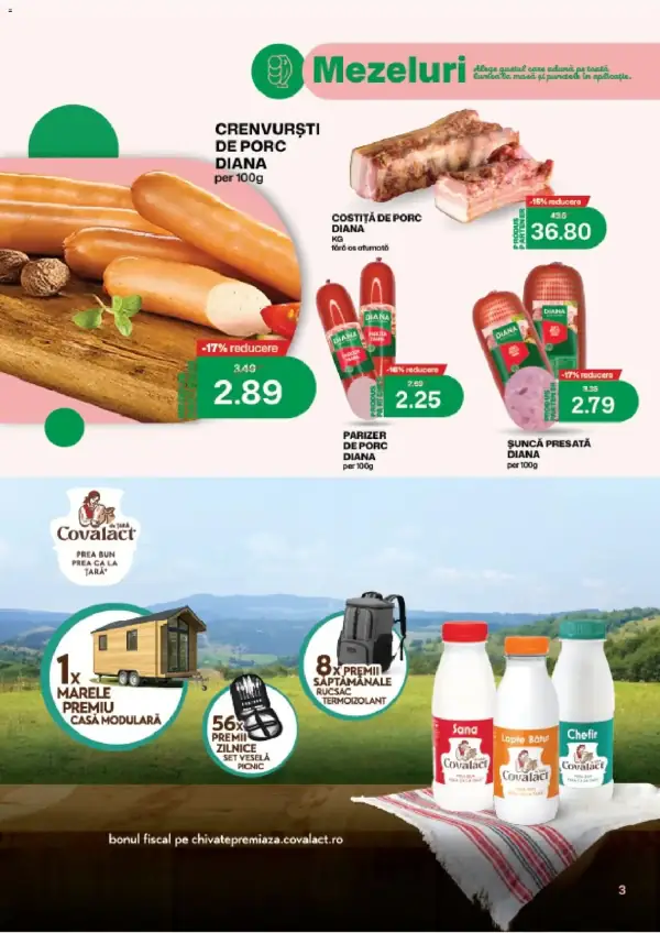 Pagina 3