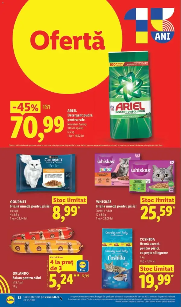 Pagina 12