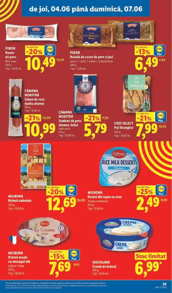 Pagina 29