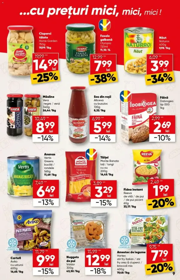 Pagina 9
