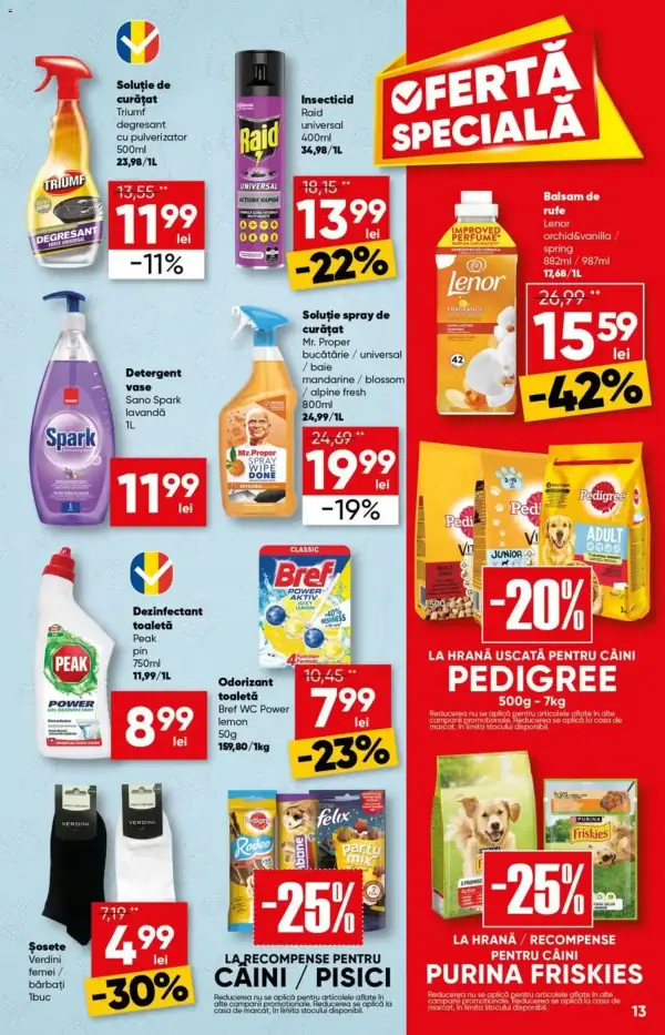 Pagina 13