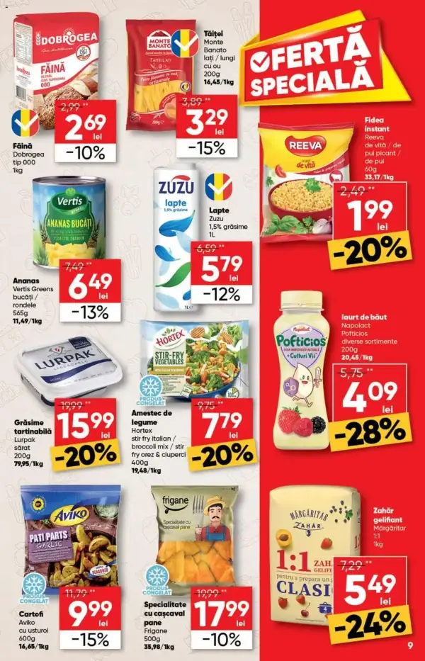 Pagina 9