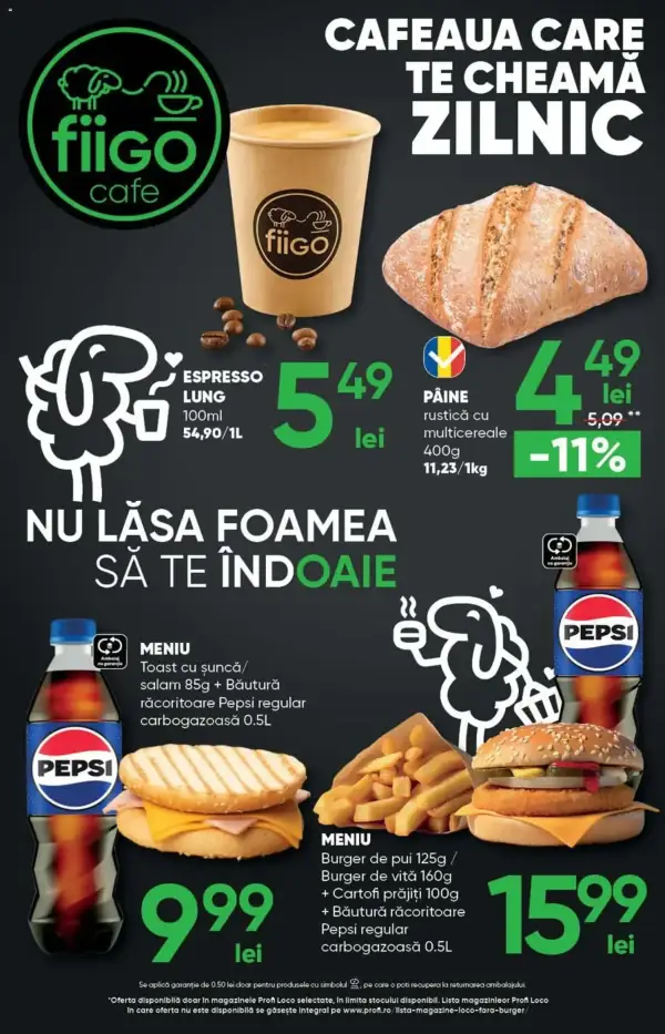 Pagina 16