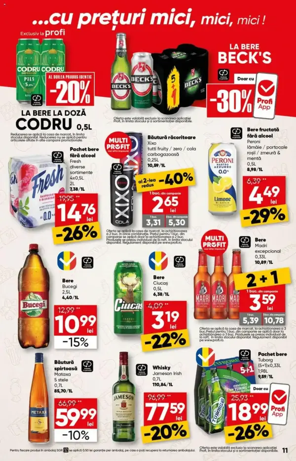 Pagina 11
