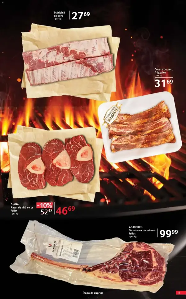 Pagina 5
