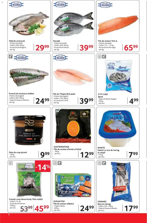 Pagina 6
