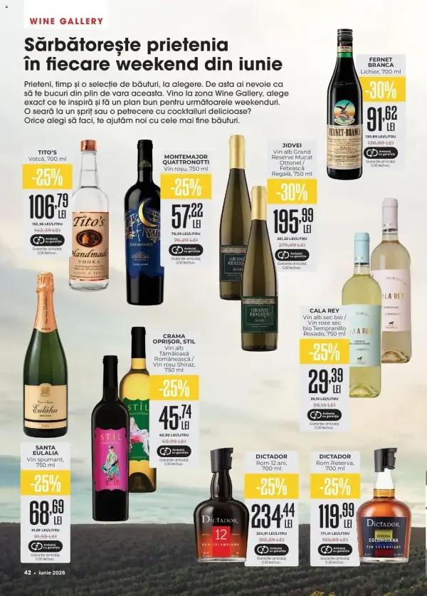Pagina 42