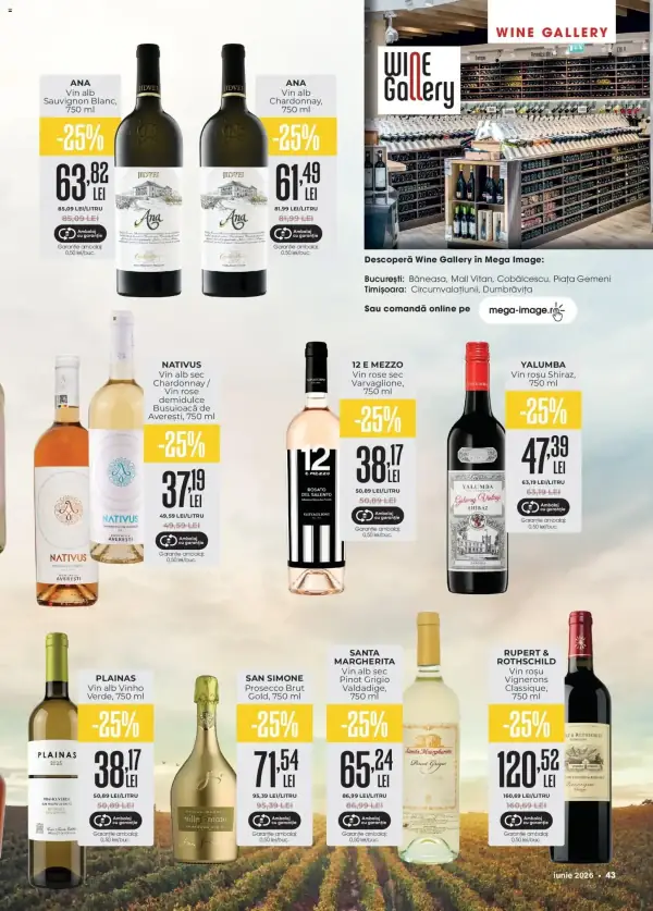 Pagina 43
