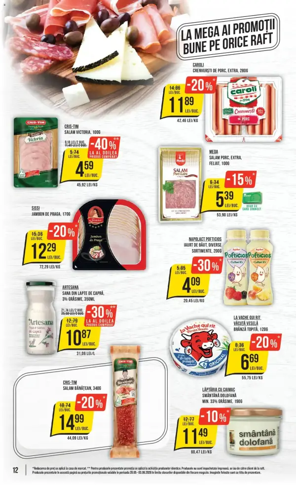 Pagina 12
