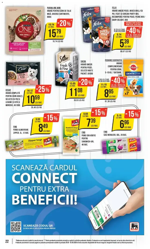Pagina 22