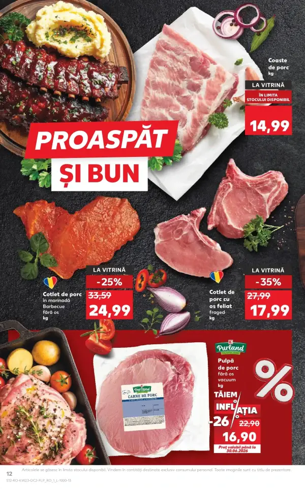 Pagina 12