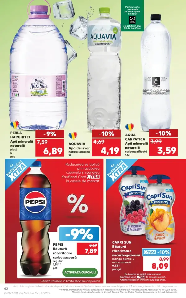 Pagina 42