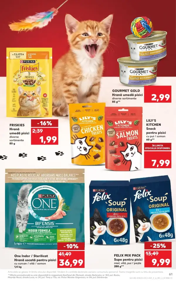 Pagina 61