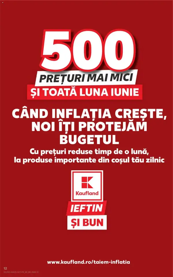 Pagina 12