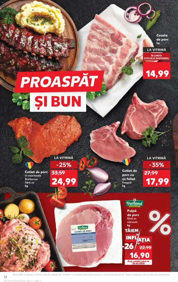 Pagina 12