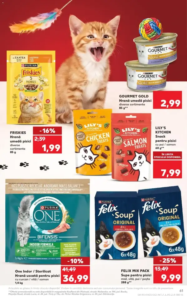 Pagina 61