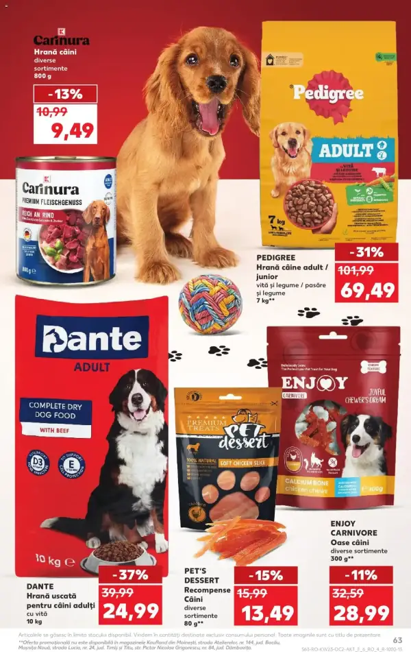 Pagina 63