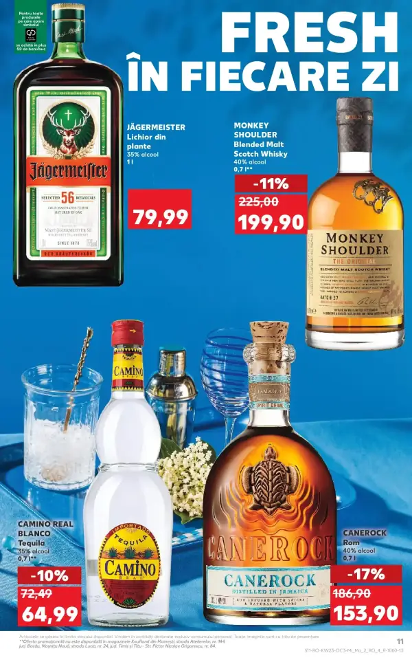 Pagina 11