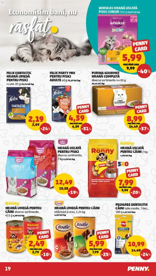 Pagina 19