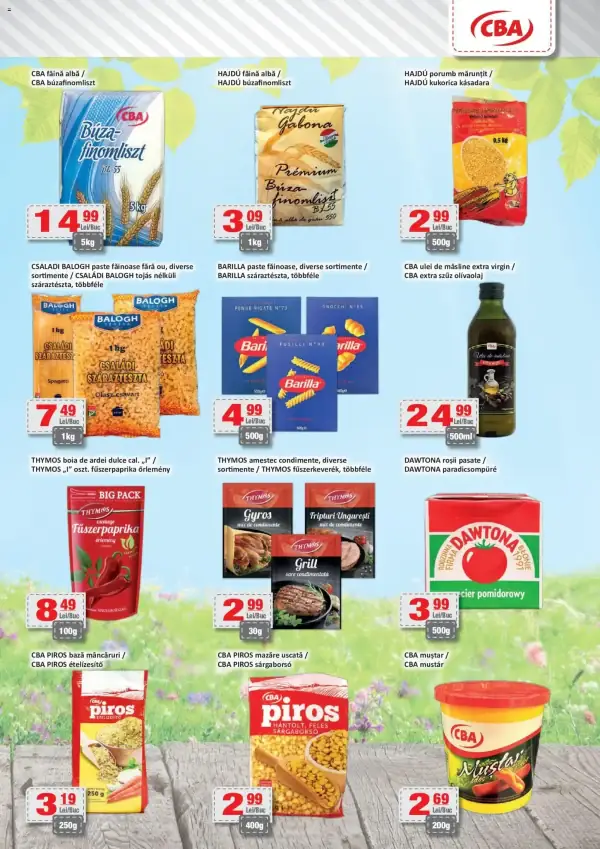 Pagina 5