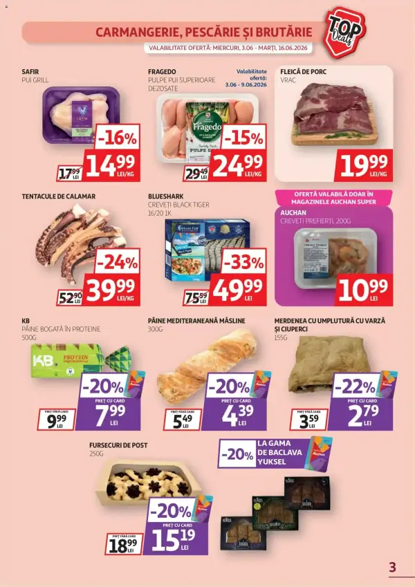 Pagina 3