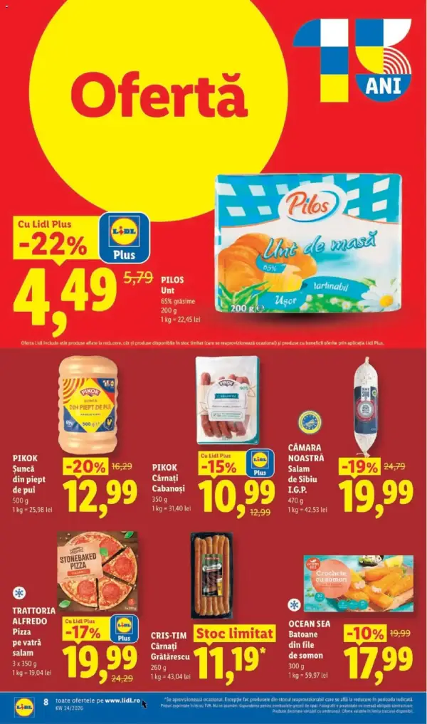Pagina 8