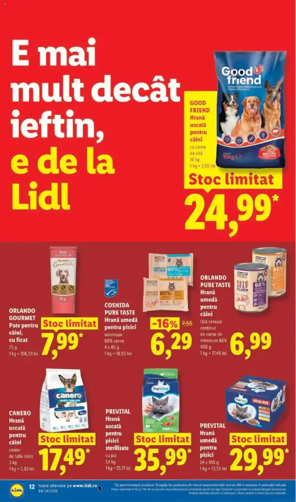 Pagina 12