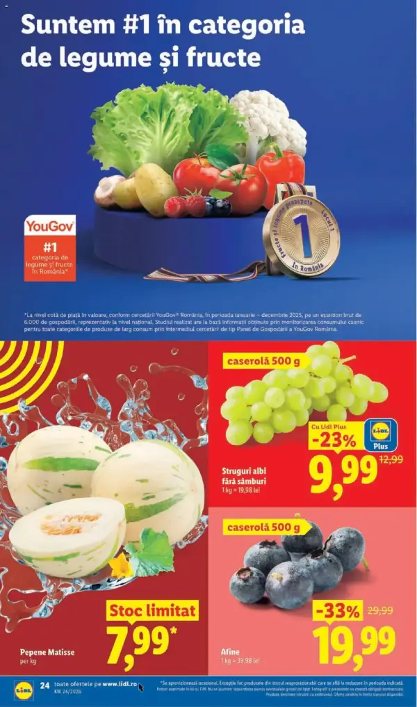 Pagina 24