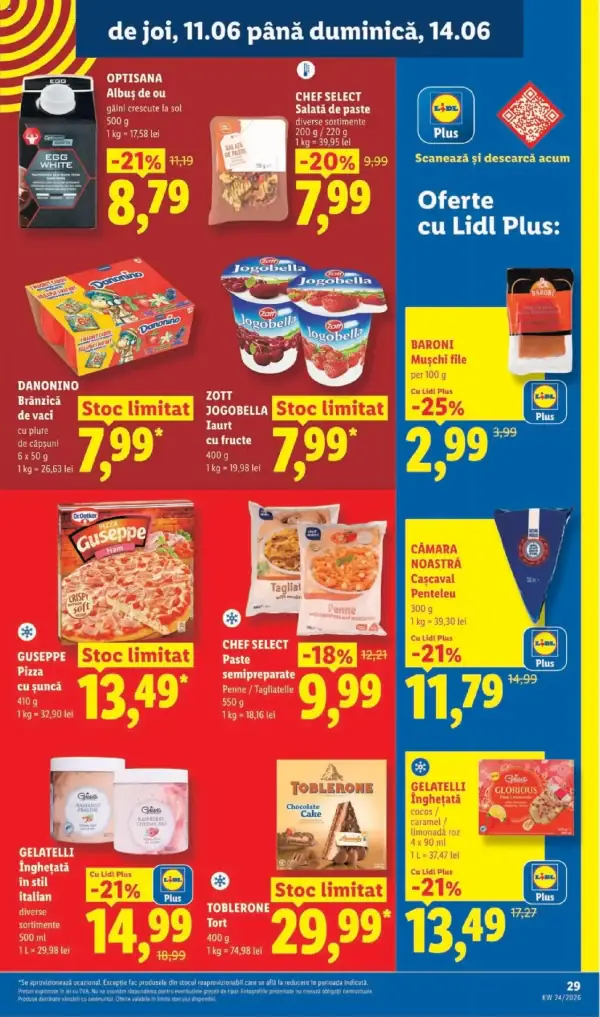 Pagina 29