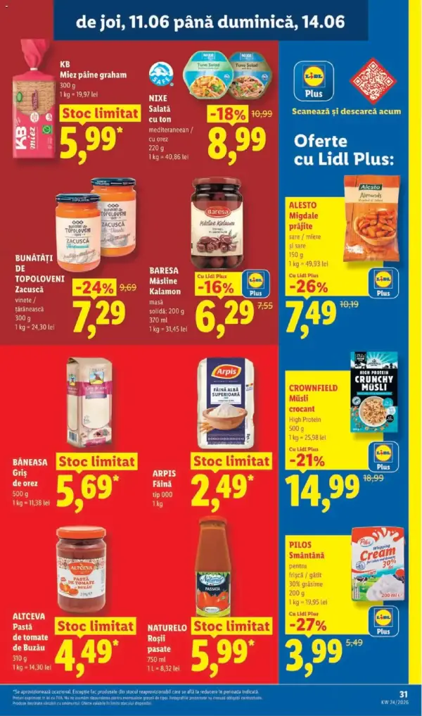 Pagina 31