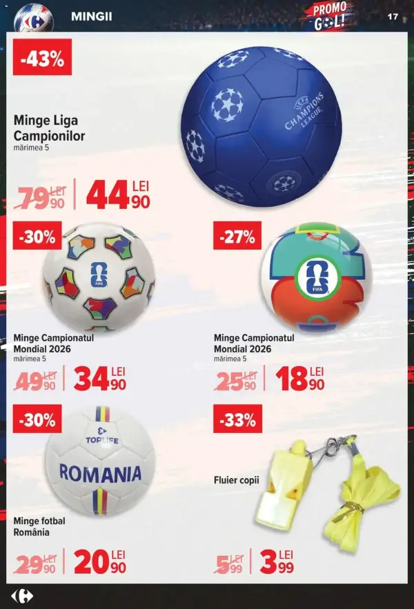 Pagina 17