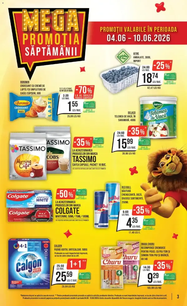 Pagina 3