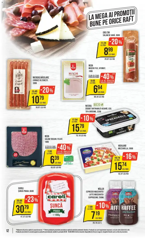 Pagina 12