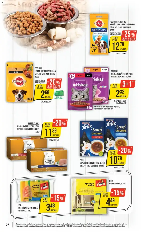 Pagina 22